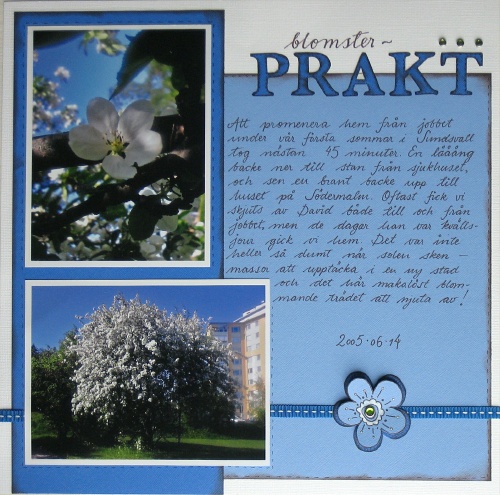 blomsterprakt500.jpg